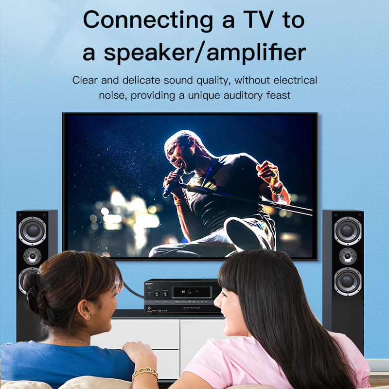 Cable RCA CHOSEAL, Cable de Au - Audio Home Cinema reseña y precio
